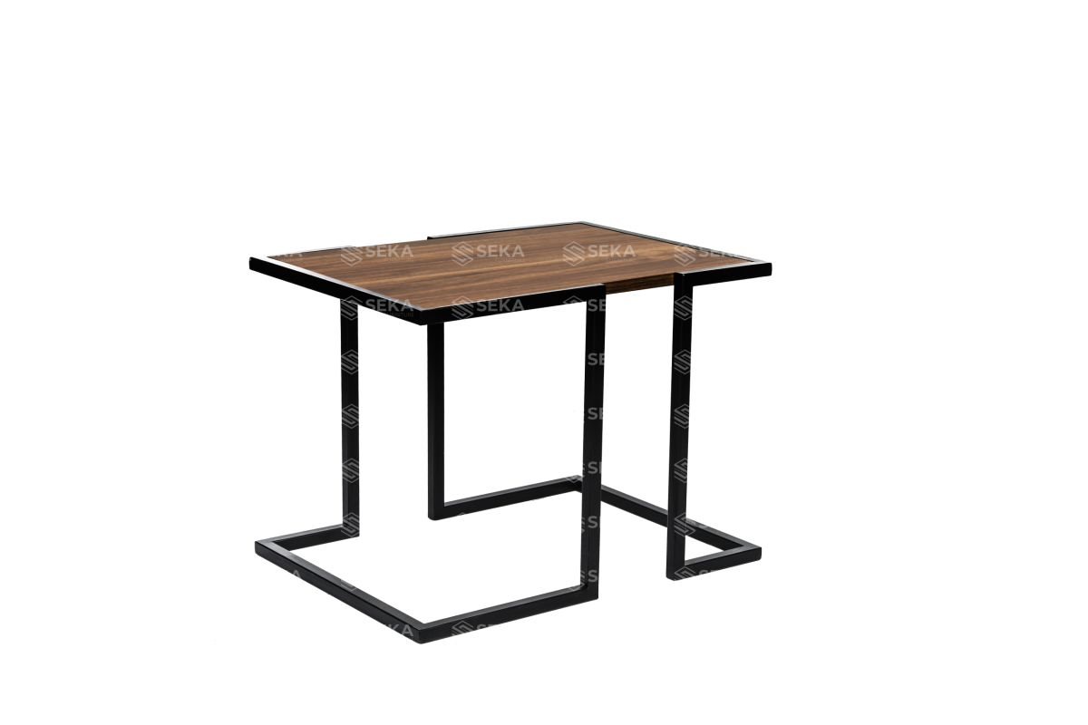 SEKA SP 100 - Görsel 2