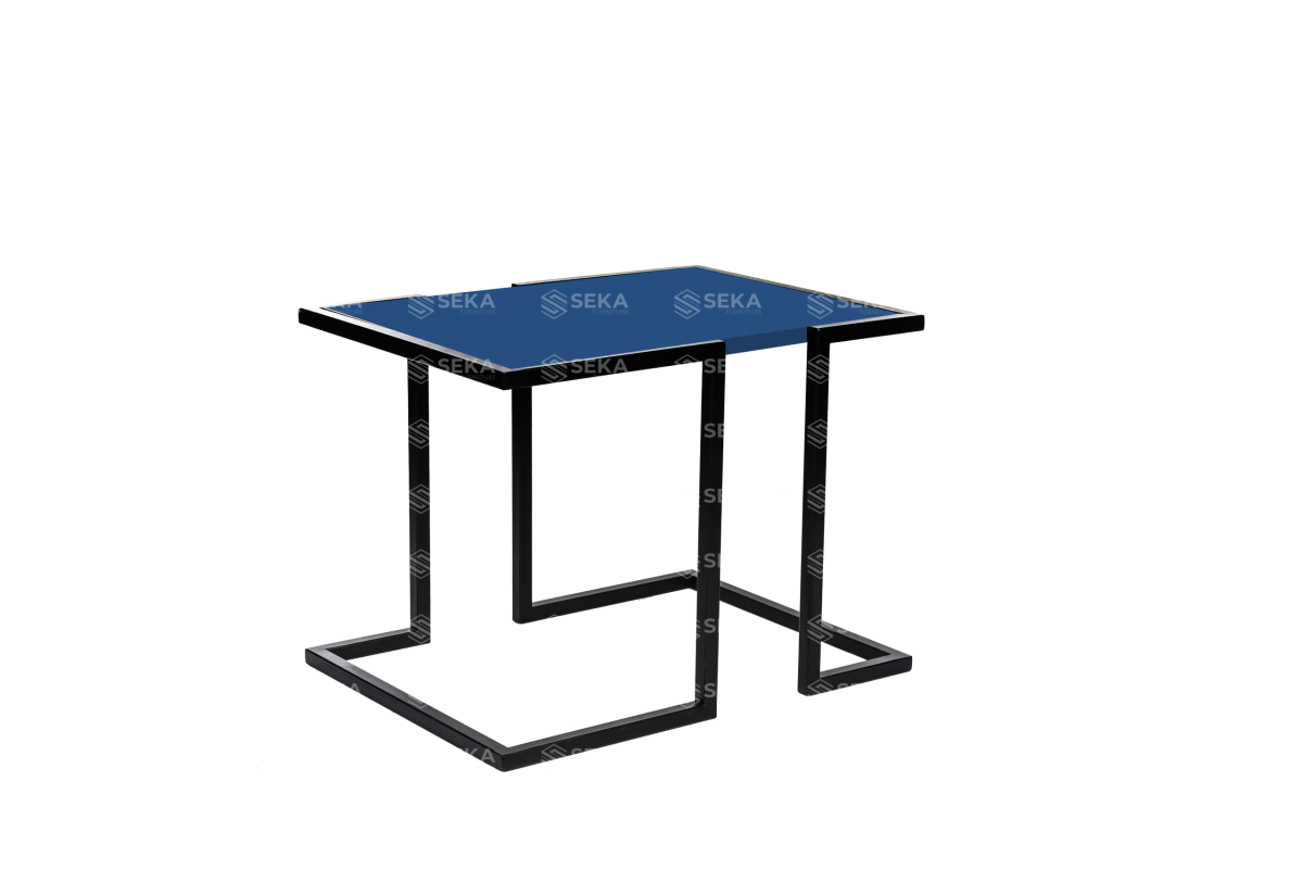 SEKA SP 100 - Görsel 3