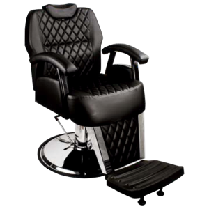 SEKA BK 113