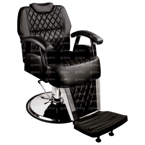 SEKA BK 113